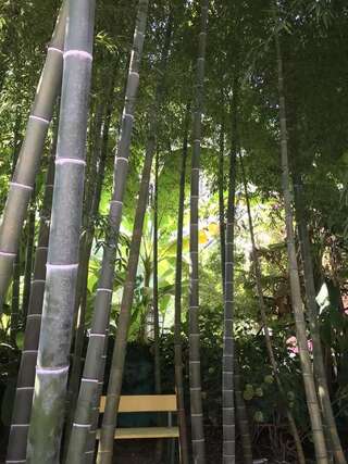 Гостевой дом «gio” Кобулети-5